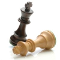 Endgame Strategies, LLC Logo