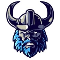 Space Vikings LLC Logo