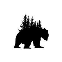 Bear Island Boats Logo