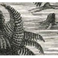 Carboniferous Logo