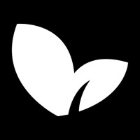 Insiteful Logo