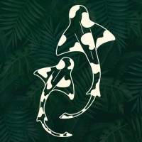 Squale.Agency Logo