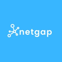 Netgap Logo
