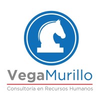 VM Consultores en Recursos Humanos Logo