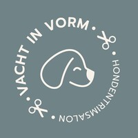 Vacht in Vorm Logo