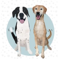 Tails of Success Logo