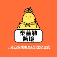 泰普勒跨境咨询 Logo