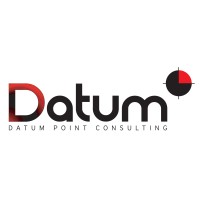 Datum Point Consulting Logo