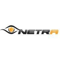 Netra IT Logo