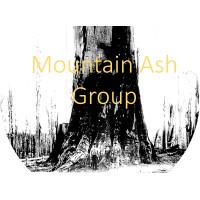 Mountain Ash Group Logo