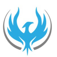Rise Commodities Logo