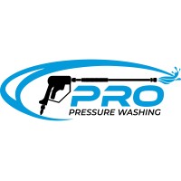Pro Pressure Washing Logo