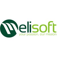 Melisoft.vn Logo