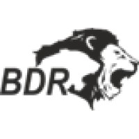 BDR Pharmaceuticals Intl Pvt Ltd Logo