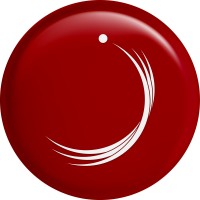 Zayed University Logo