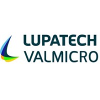 Valmicro Logo