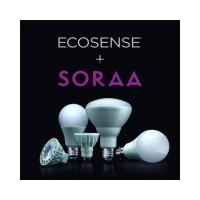 Soraa_Ecosense Logo