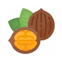 The Walnut Fund Logo