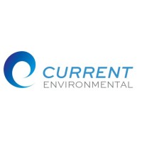 Current Environmental Logo