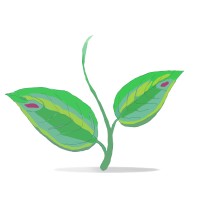 GreenCraft Media Logo