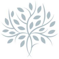 Novo Behavioral Health Logo