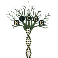 Nature Inspired Computing Optimization Group (NICOG) Logo