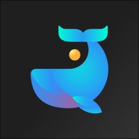 OlaWealth - Track Top Trades Logo