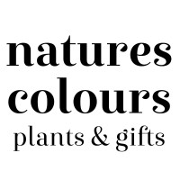 Natures Colours Nursery Logo