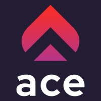 ACE Agency for Coders & Employers Logo