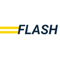 TRANSPORTES FLASH Logo