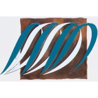 May St Dental Centre Logo