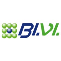 BIVI Logo