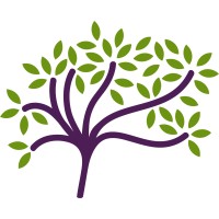 New Insights Coaching Logo