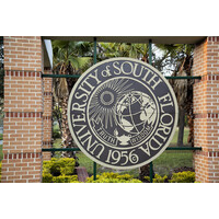 USF Technology Transfer Logo