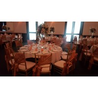 Amberlee Receptions Logo