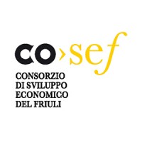 COSEF - Consorzio di Sviluppo Economico del Friuli Logo