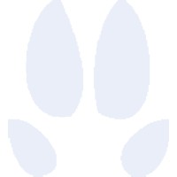 Blue Trotter Media Ltd Logo