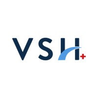 Visa Solutions Healthcare Logo