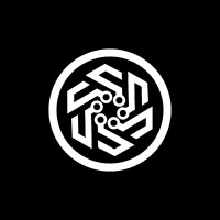 Network Synergies Logo