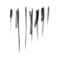 Associació Muzio Clementi de Barcelona Logo