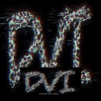 Distorted View Imagery Logo