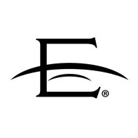 Election Bridge Logo