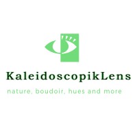 Kaleidoscopik Lens Logo