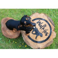 Grow Walkies Ltd Logo