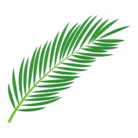 Ivy Consultancy LLC Logo