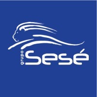 Grupo Sesé Brasil Logo