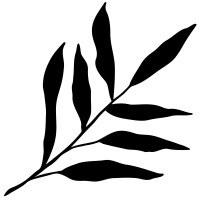 Be Still Holistic Wellness Logo