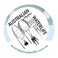 Australian Waterlife Logo