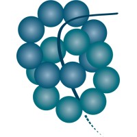 Booster Therapeutics Logo