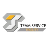 Team Service Logo